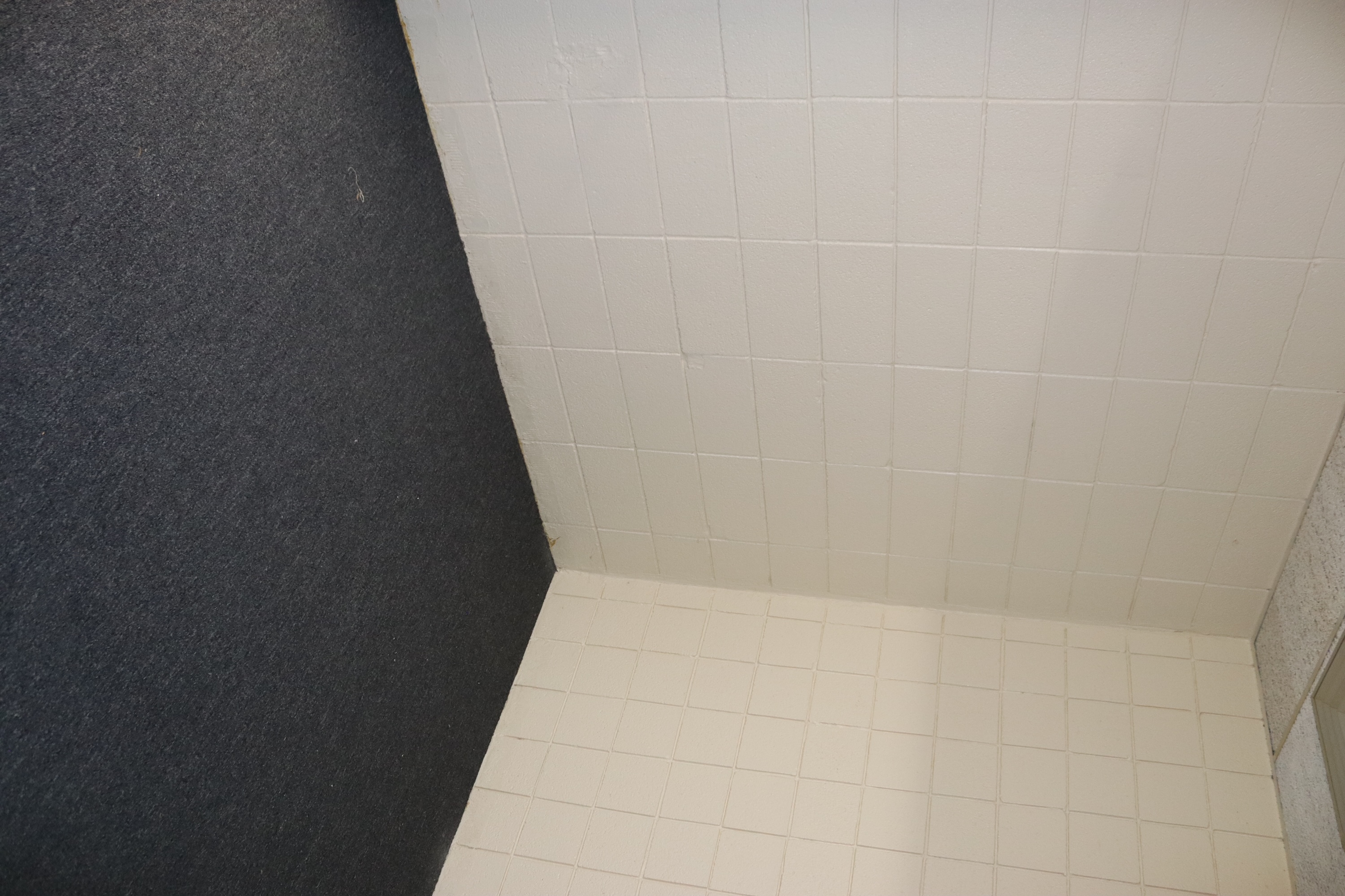 Carpeted storage room